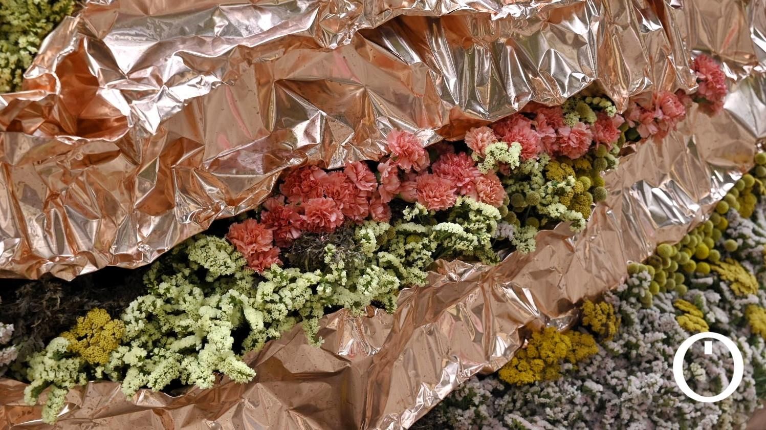 Flora 2023 - Harriet Parry