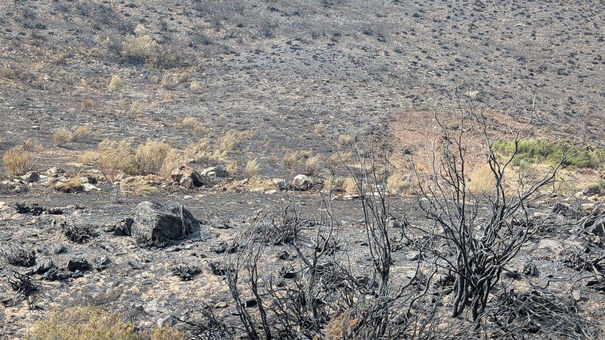 El agua de Orallo aparece contaminada por las cenizas de uno de los grandes incendios del verano pasado