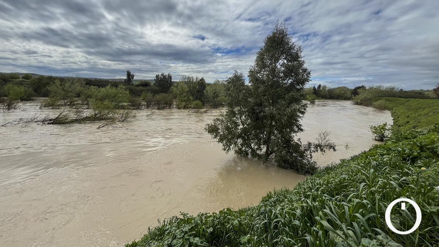 Los parcelistas, "sin miedo" de momento ante la crecida del río