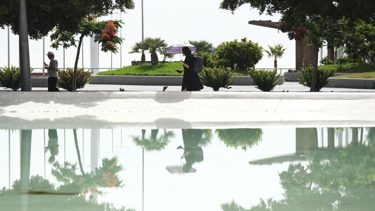 Plaza de España, en Santa Cruz de Tenerife.