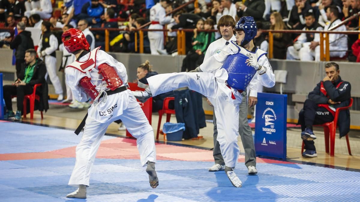 Open internacional de Andalucía de Taekwondo y Copa Iberdrola