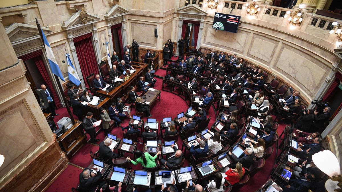 El Senado le dio luz verde al régimen para medianas empresas que inviertan más de US$12 millones