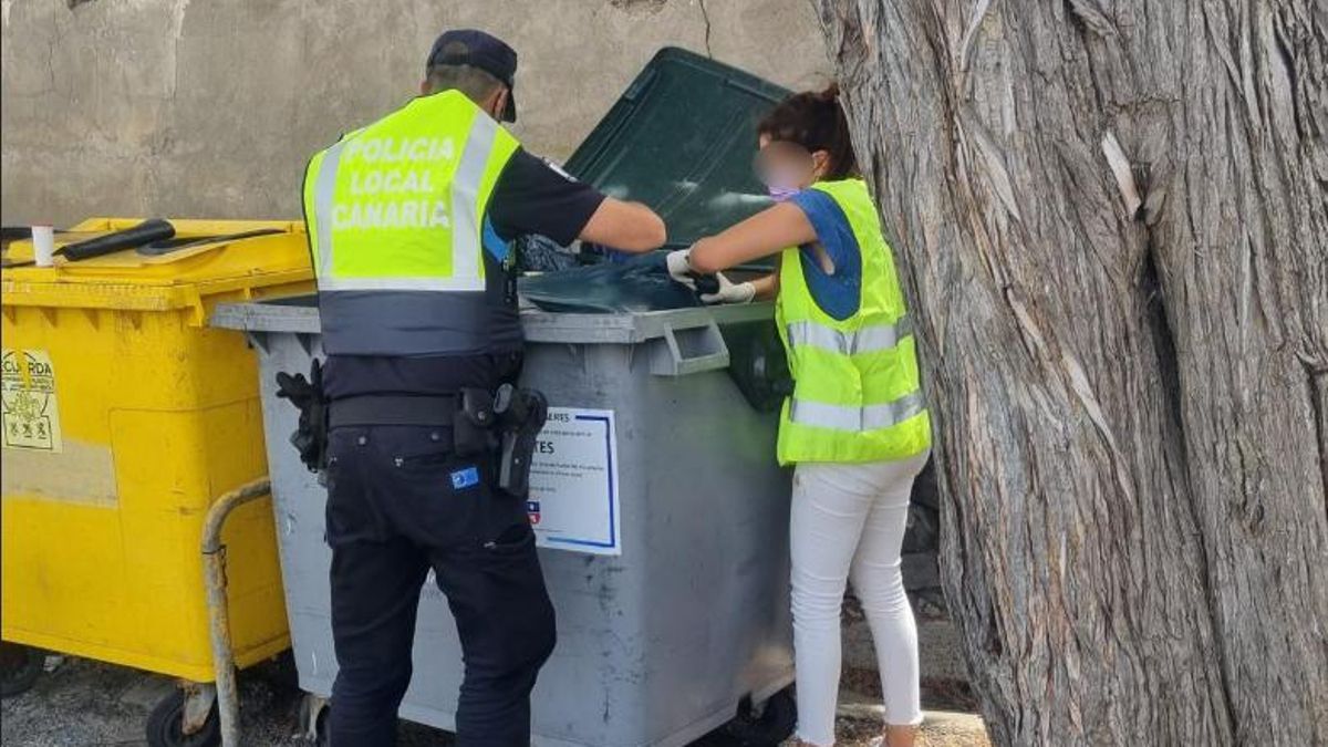 La Policía Local de Telde investiga el hallazgo de seis perros muertos en un contenedor.