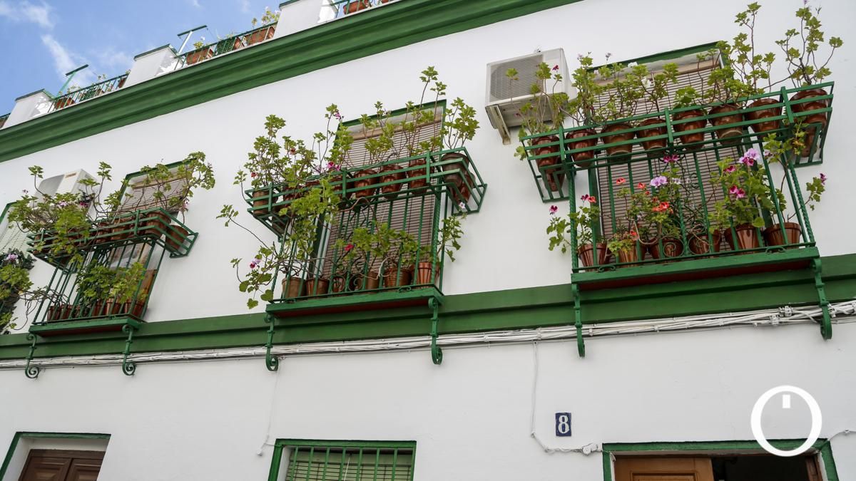 Rejas y Balcones en la C/ Pastora, 8