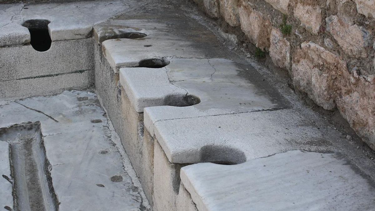 Un parásito hallado en letrinas romanas rompe el relato clásico y apunta a contactos anteriores entre continentes