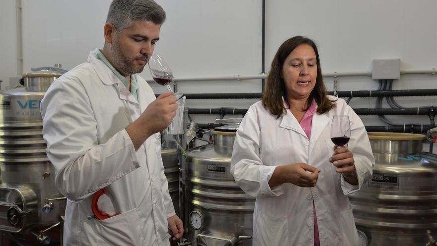 La bodega experimental de la UCLM inicia la elaboración de su primer vino