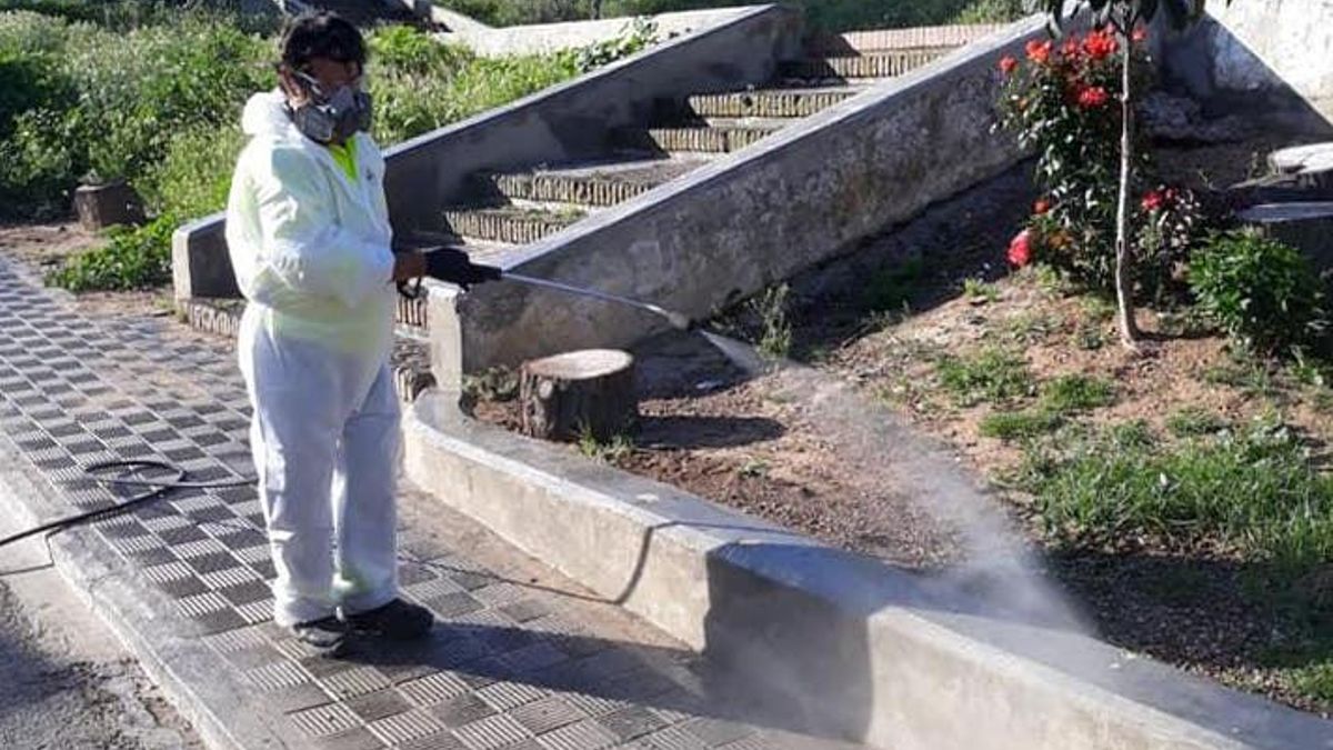 Un operario fumiga una zona verde en Coria del Río.