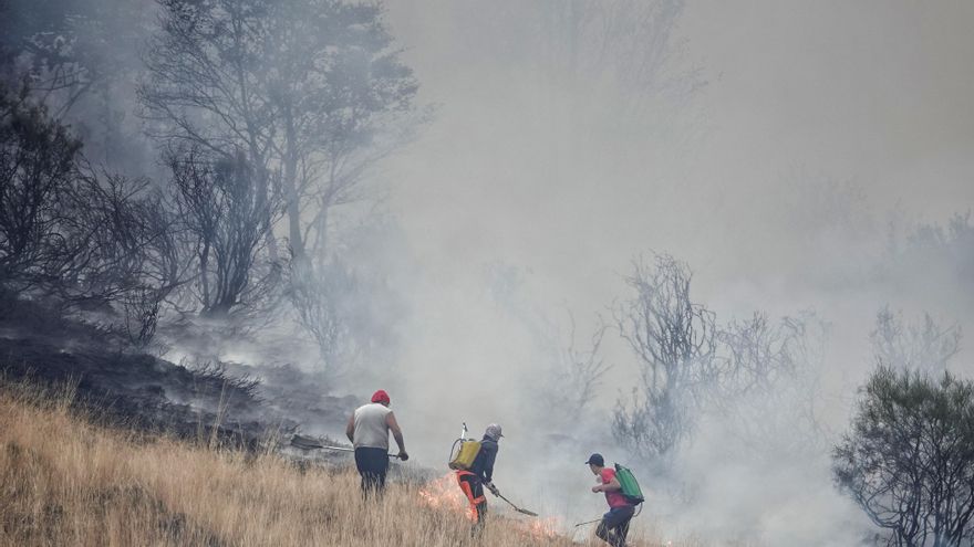 Varias personas tratan de extinguir un fuego, a 19 de agosto de 2025, en el Puerto de San Glorio, León, Castilla y León (España).