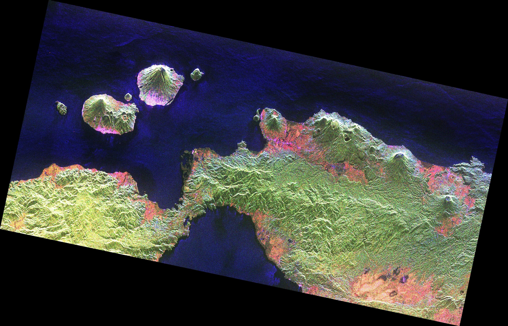Bosques de Indonesia