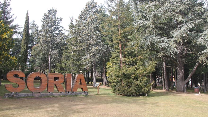 El vino de Soria también existe