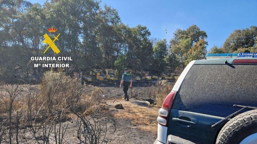 Investigan a un apicultor que pudo provocar el incendio forestal de Brañuelas con un ahumador de colmenas