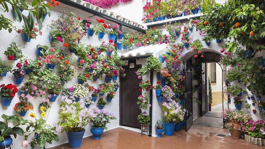 Llega la primavera a Córdoba -que se prepara para la Fiesta de los Patios en mayo-