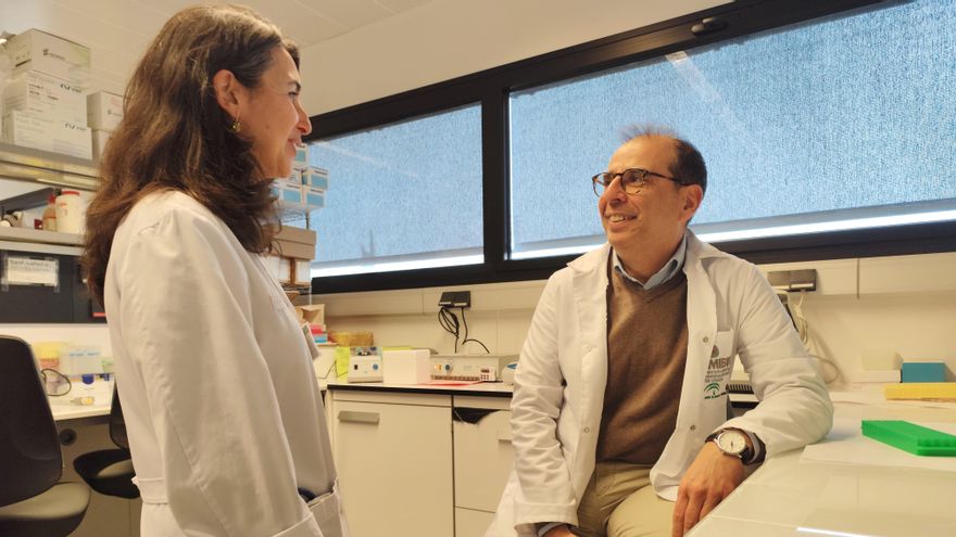 Investigadores de Córdoba lideran un innovador proyecto europeo para prevenir la obesidad