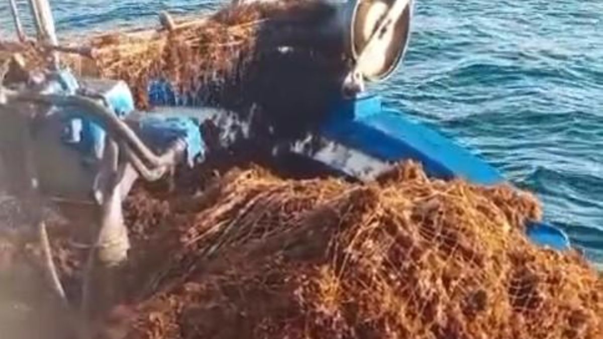 Imagen de la proa de un pesquero cargado de algas en Algeciras