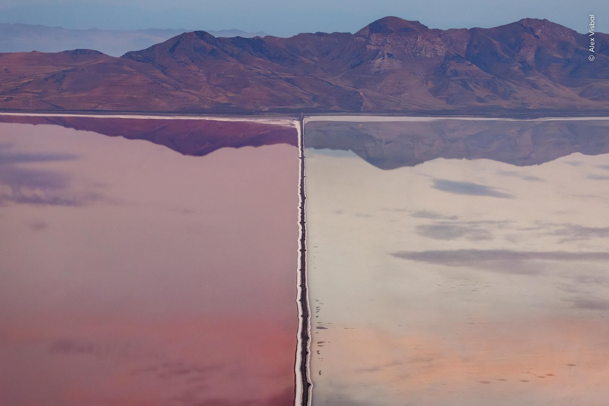 'La gran división', Premio Humedales: panorama amplio