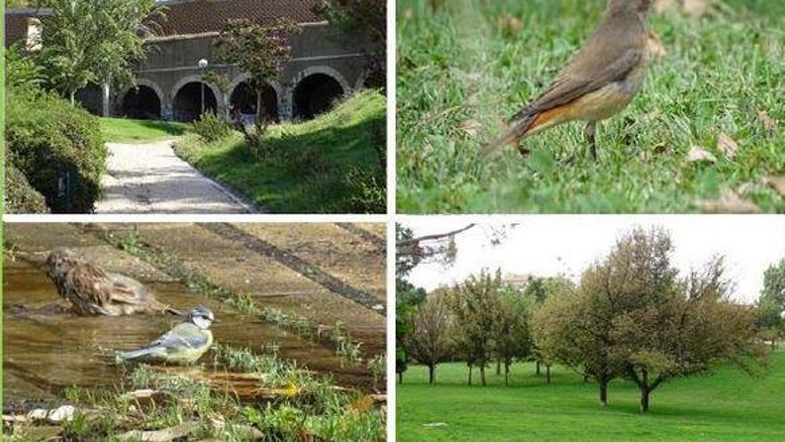 Ecopaseo por el parque