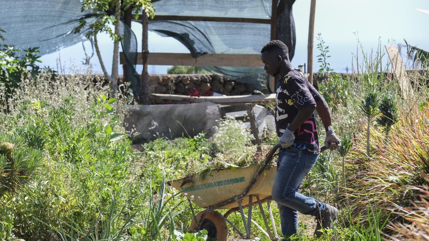 El sector primario reclama cambios en la Ley de Extranjería para facilitar la contratación