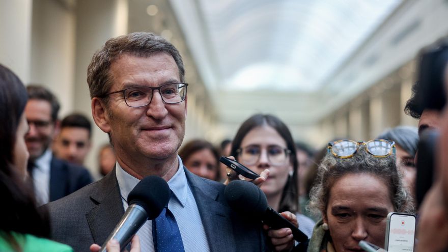 El líder del PP, Alberto Núñez Feijóo, ofrece declaraciones a los medios tras un pleno extraordinario del Congreso de los Diputados en el Palacio del Senado, a 16 de enero de 2024, en Madrid (España).