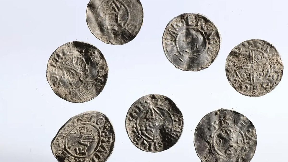 Los descubridores localizaron miles de piezas en un campo de Rena