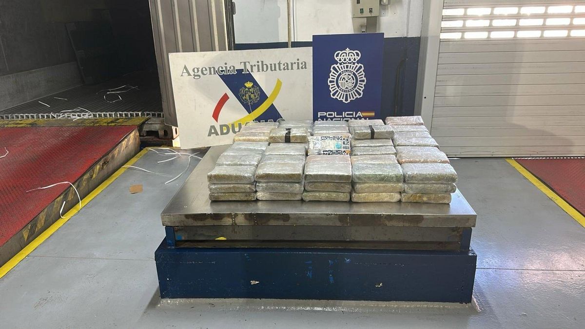 Droga intervenida en el puerto de Las Palmas.