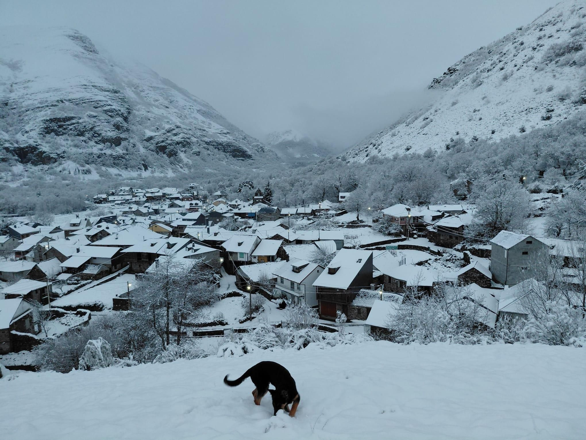 Paisaje invernal de Burbia