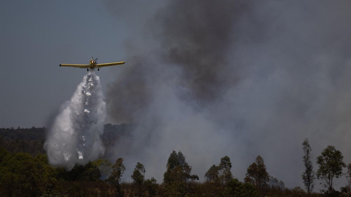 El incendio de Niebla sigue fuera de control y obliga a activar a la UME por la "inestabilidad" que provoca el viento La Junta admite que la situación es "compleja" y eleva la gravedad de un fuego que ha provocado 70 desalojos, el corte de dos carreteras y contra el que luchan 275 efectivos por tierra entre Infoca y militaresEl incendio de Niebla está fuera de la capacidad de extinción por un viento que hasta pone en riesgo a los bomberos
La gravedad e inestabilidad del incendio declarado el jueves por la tarde en el paraje Raboconejo, en el municipio onubense de Niebla, ha llevado al Gobierno andaluz a solicitar la incorporación de la Unidad Militar de Emergencias (UME), con lo que este sábado son 275 los efectivos terrestres que lo combaten. Las previsiones meteorológicas, especialmente el cambio en la dirección del viento, el ensanche de la cabeza del incendio y su avance, han aconsejado el refuerzo del dispositivo con medios adicionales, activándose la fase de emergencia, situación operativa 2, por parte del consejero de Presidencia, Sanidad y Emergencias y director del Plan de Emergencias por Incendios Forestales de Andalucía (Plan Infoca), Antonio Sanz.
El propio consejero ha señalado que se han producido diferentes cambios de viento que han complicado tremendamente la evolución del incendio. El fuego, que inicialmente avanzaba hacia el oeste-suroeste, modificó posteriormente su trayectoria hacia el noroeste, dejando pocas oportunidades para su control.
En la mañana de este sábado, el dispositivo del Plan Infoca lo componen 10 medios aéreos, 215 efectivos y 79 vehículos. Unas cifras a las que se suman 60 efectivos y 15 vehículos de la UME. La Unidad Militar de Emergencias ha subrayado que su equipo desplegado en el terreno está realizando trabajos de anclaje y progresión con su maquinaria pesada y el reconocimiento mediante drones en las zonas afectadas por las llamadas.
Según ha señalado, la evolución del incendio sigue siendo compleja, ya que la zona norte ha tenido una rápida evolución, lo que ha provocado un ensanchamiento del incendio y estamos teniendo escasas zonas de oportunidad. Por la noche se ha producido otro cambio de viento, el cuarto de forma radical, y la previsión es que dirigiría el incendio hacia el sureste generando otra complejidad.
Un total de 70 desalojados
En cuanto a los desalojos, durante la tarde del viernes se realizaron nuevas evacuaciones preventivas de vecinos, de los que sólo unos pocos han necesitado realojo en un hotel de Valverde del Camino. Estas actuaciones se suman a los desalojos efectuados el día anterior en las aldeas de Raboconejo y Caballón, con un total de 70 personas afectadas, 40 de ellas procedentes de la zona de La Florida. Asimismo, permanecen cortadas dos vías: la carretera HU-3106, entre Niebla y Valverde del Camino, y la A-493.
Sanz ha subrayado que la agresividad que ha tenido en la cabeza del incendio, en la zona norte, y la evolución del perímetro han provocado que la situación continúe siendo compleja y difícil. Por este motivo, el Comité de Operaciones y la Dirección de la Emergencia han decidido elevar el incendio a situación operativa 2, especialmente por la extensión que pueda alcanzar el incendio y por las previsiones de cambios de viento constantes.
Durante este sábado se han incorporación nuevas brigadas de intervención en materia de incendios forestales, que se han sumado a las cuatro Brigadas de Refuerzo contra Incendios de la Comunidad Autónoma (Brica), así como a los equipos de bomberos forestales ya desplegados. En total, hay ahora más de 275 profesionales trabajando en la extinción de un incendio que mantiene su foco principal en la zona de Niebla y cuya evolución se está viendo condicionada por los continuos cambios de viento.