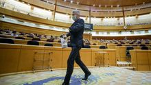 El ministro del Interior, Fernando Grande-Marlaska, en el Pleno del Senado.
