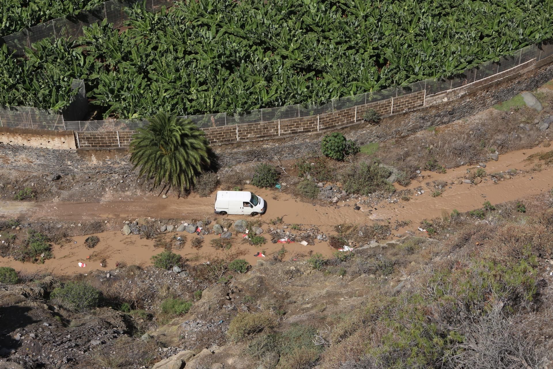 Barranco del Guiniguada (ALEJANDRO RAMOS)