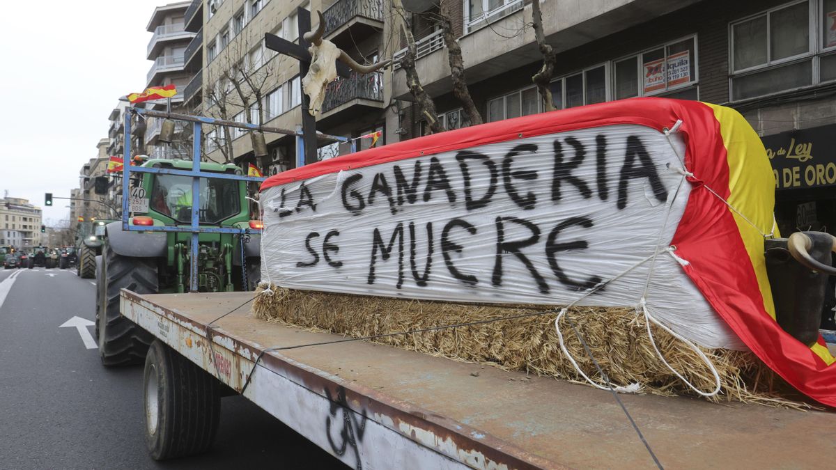 Los tractores comienzan a llegar a Salamanca en la primera protesta convocada por las opas.