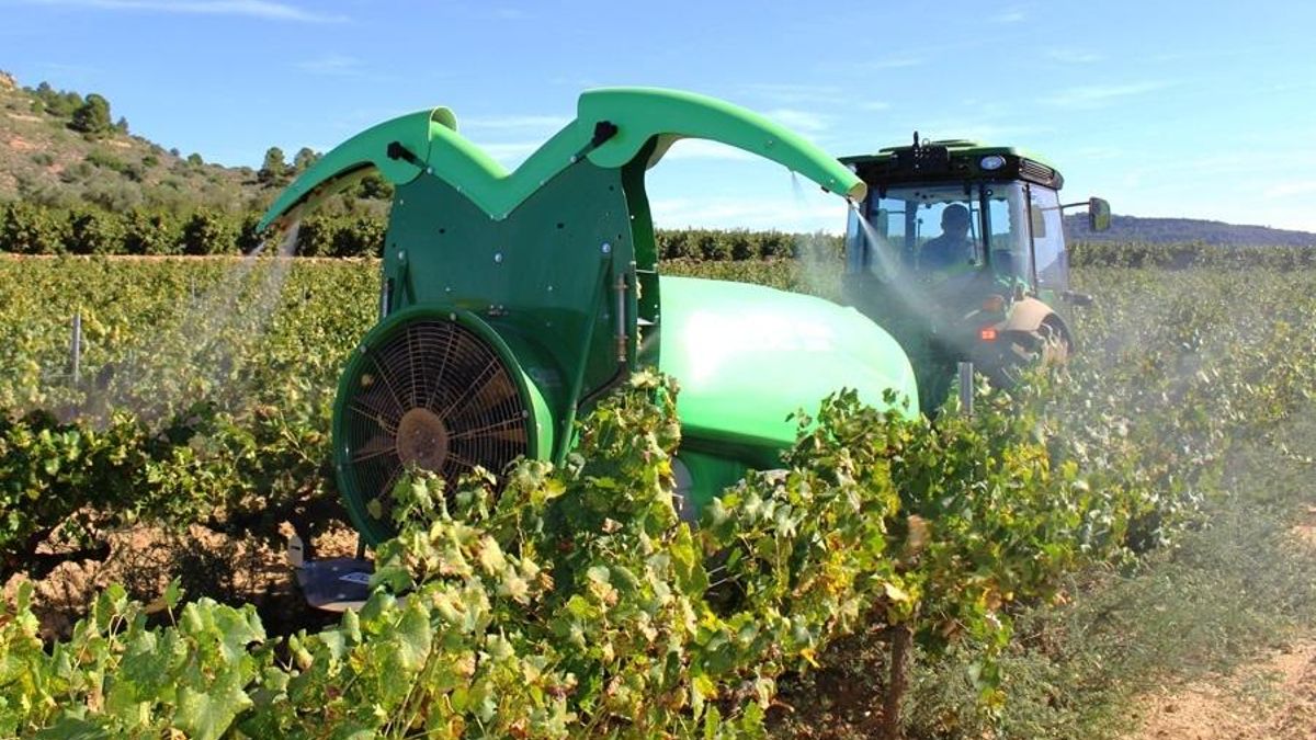 No sólo el petróleo: por qué la guerra en Irán afectará a los alimentos
