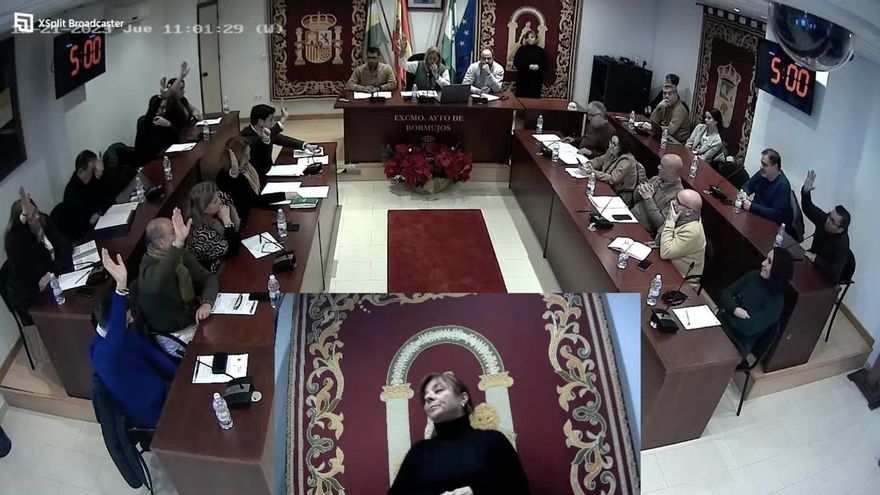 El giro de Vox en Bormujos: apoya al PP para aumentar las ayudas contra la violencia machista