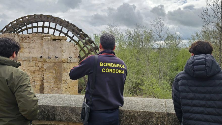 El Guadalquivir deja aislada a la colonia de gatos de la Noria de la Albolafia