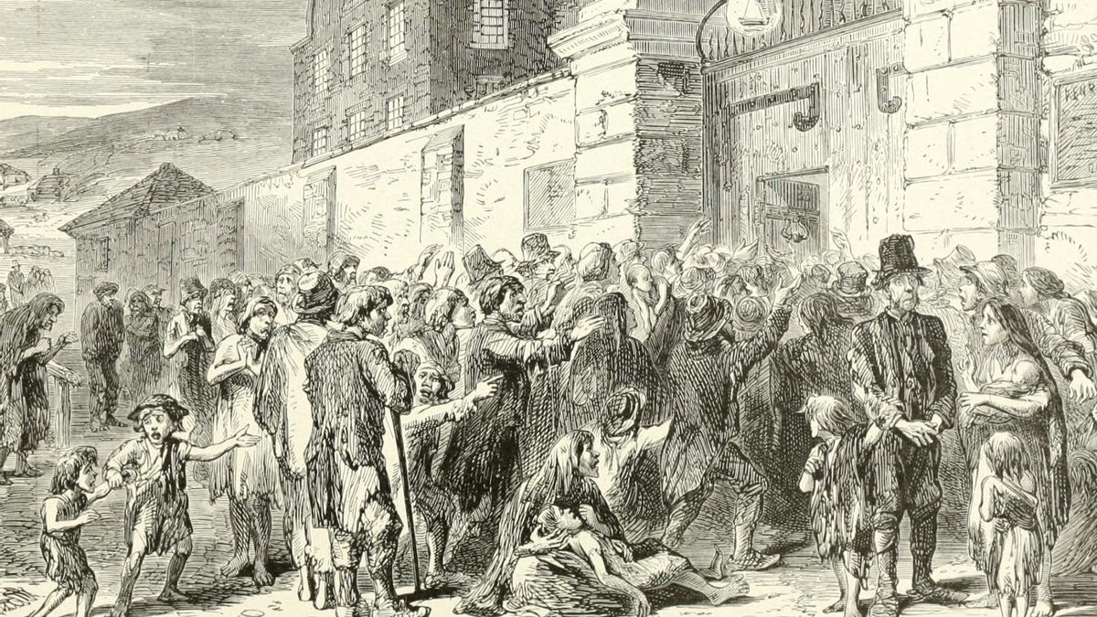 El patógeno que provocó la hambruna irlandesa nació en los Andes y la ciencia aclara su historia