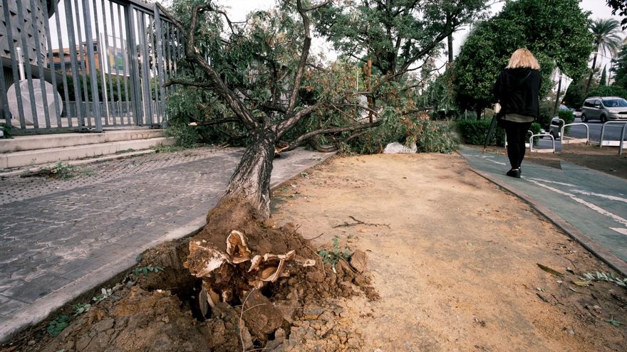 La borrasca impacta en la provincia de Sevilla dejando centenares de incidencias