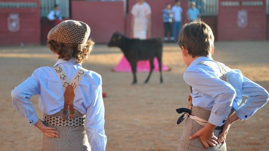 Una alumna denuncia acoso sexual por parte de otros compañeros en la Escuela de Tauromaquia de la Diputación de Salamanca