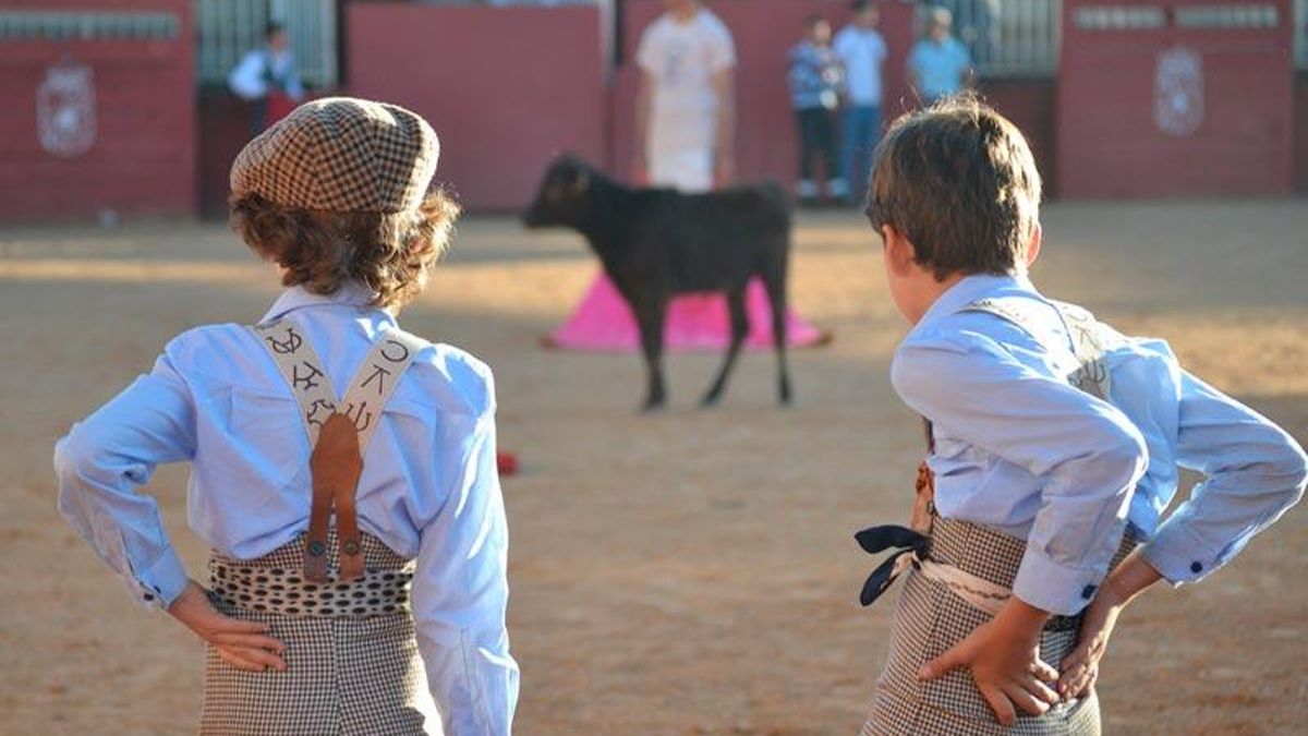 Una alumna denuncia acoso sexual por parte de otros compañeros en la Escuela de Tauromaquia de la Diputación de Salamanca
