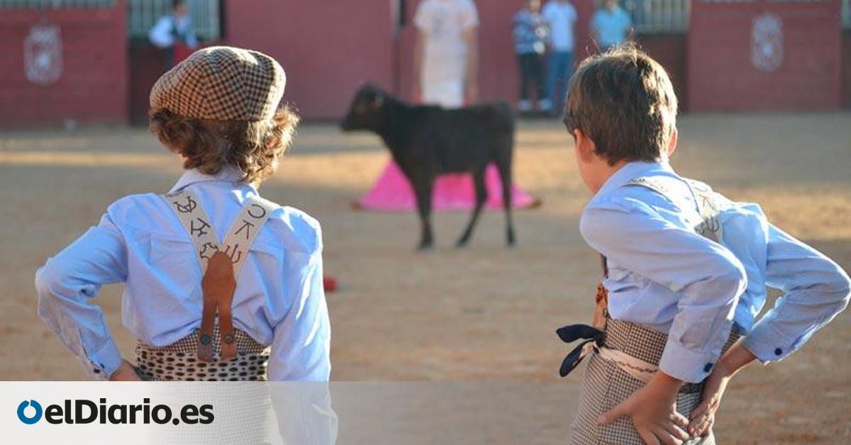 Una alumna denuncia acoso sexual por parte de otros compañeros en la Escuela de Tauromaquia de la Diputación de Salamanca