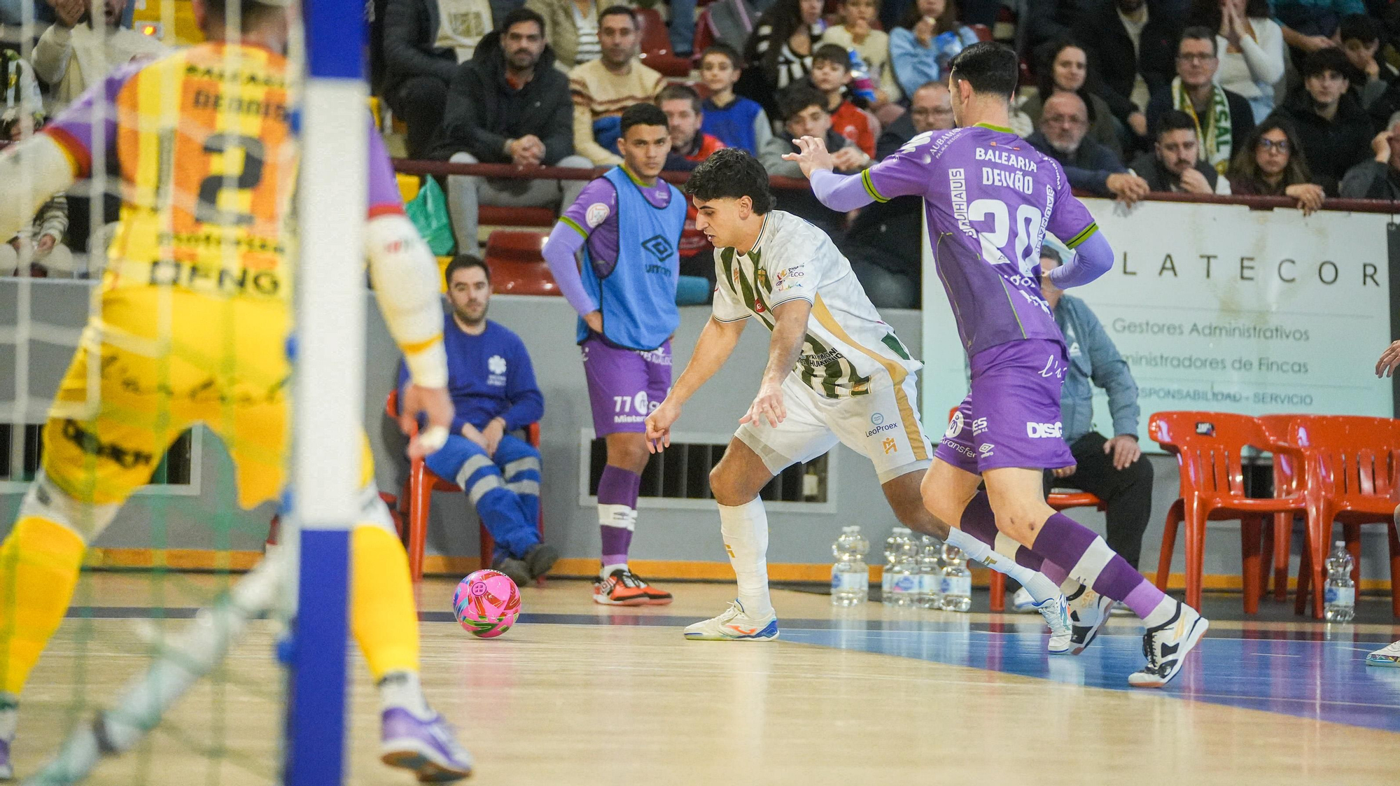 Córdoba Patrimonio de la Humanidad - Illes Balears Palma Futsal.