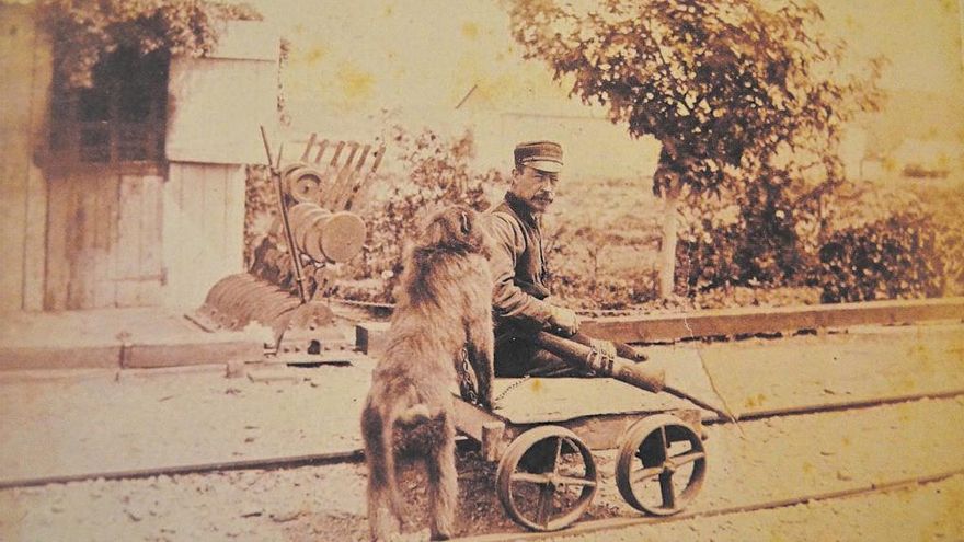 El babuino que se encargó de las señales ferroviarias durante casi una década en Sudáfrica, sin cometer errores y cobrando en brandy