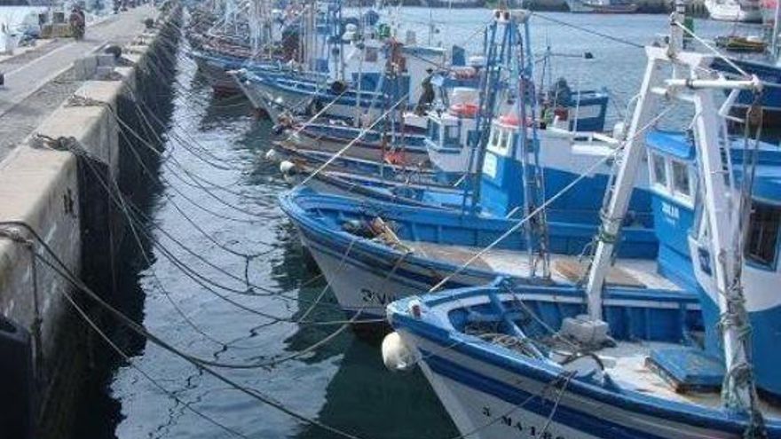 El Gobierno aprueba una ayuda de 302.000 euros a las flotas perjudicadas por el fin del acuerdo con Marruecos