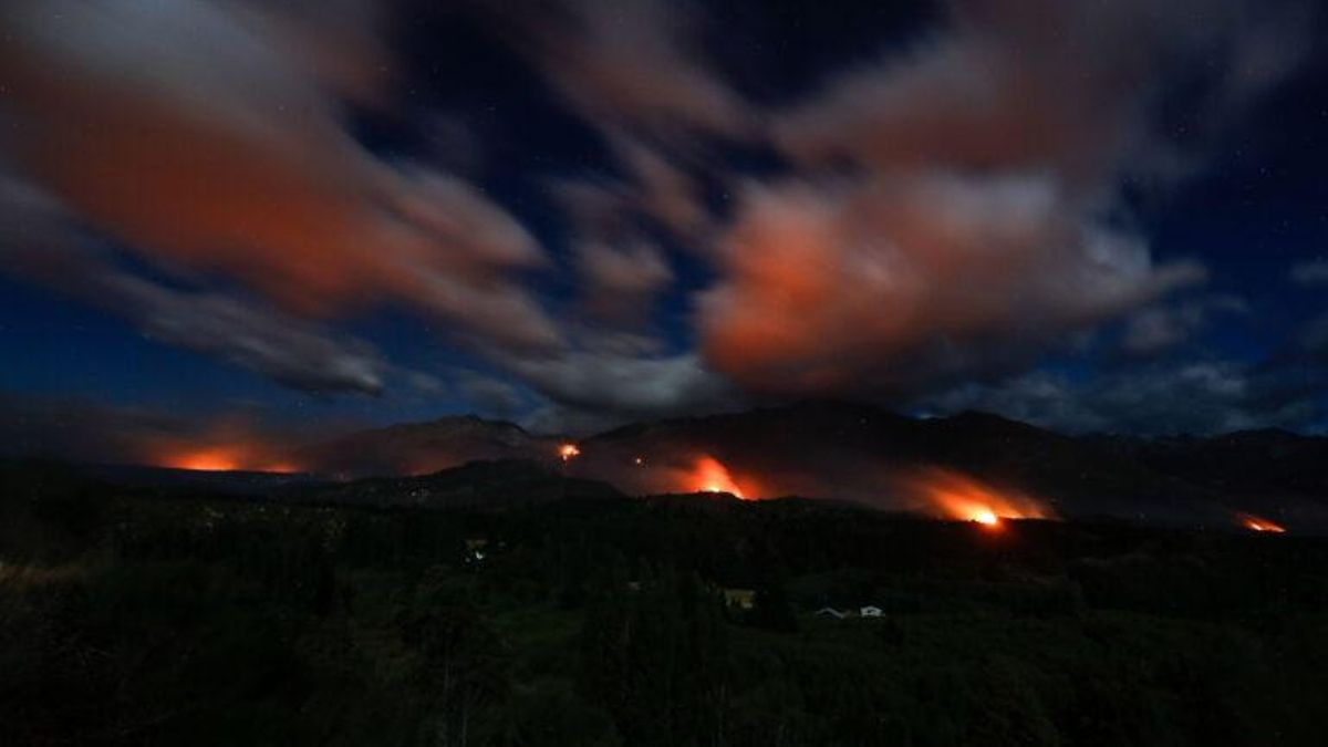 Los incendios forestales en Neuquén, Río Negro y Chubut afectaron seriamente a dos Parques Nacionales y ya arrasaron este año con decenas de miles de hectáreas de bosques y viviendas. Foto:  Greenpeace Argentina