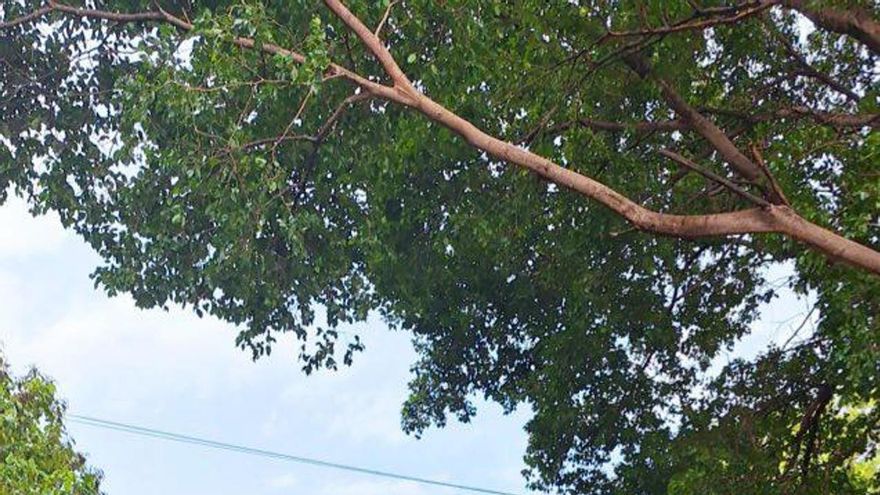 Al menos 700 familias afectadas por temporal que azotó el centro y sur de Paraguay