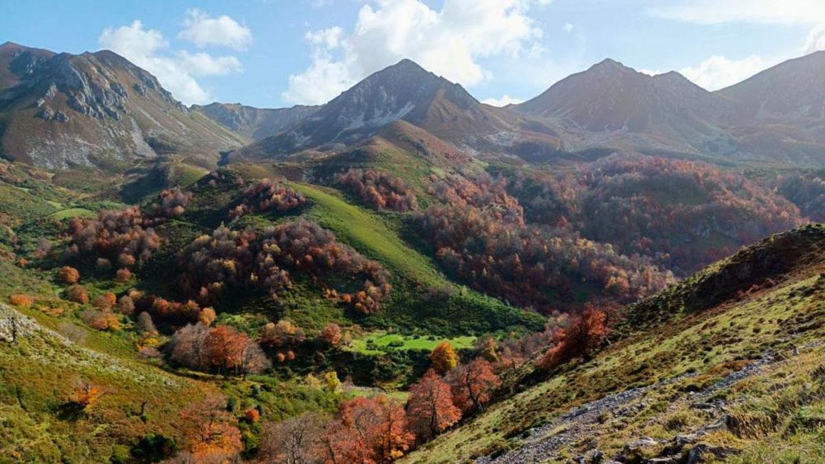 Bosque en otoño
