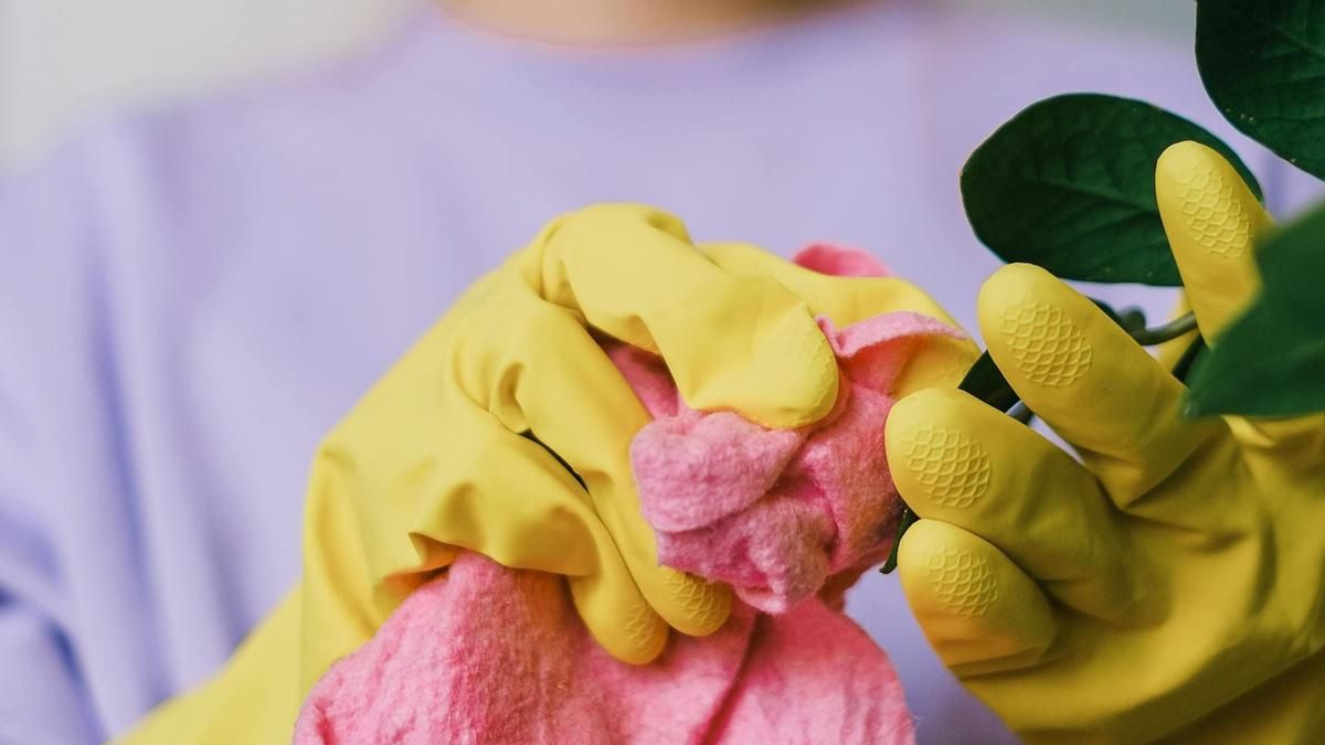 Se trata de un potente aliado para el cuidado de las plantas