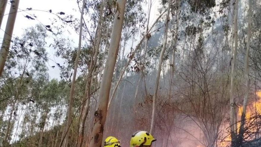 Incendio forestal