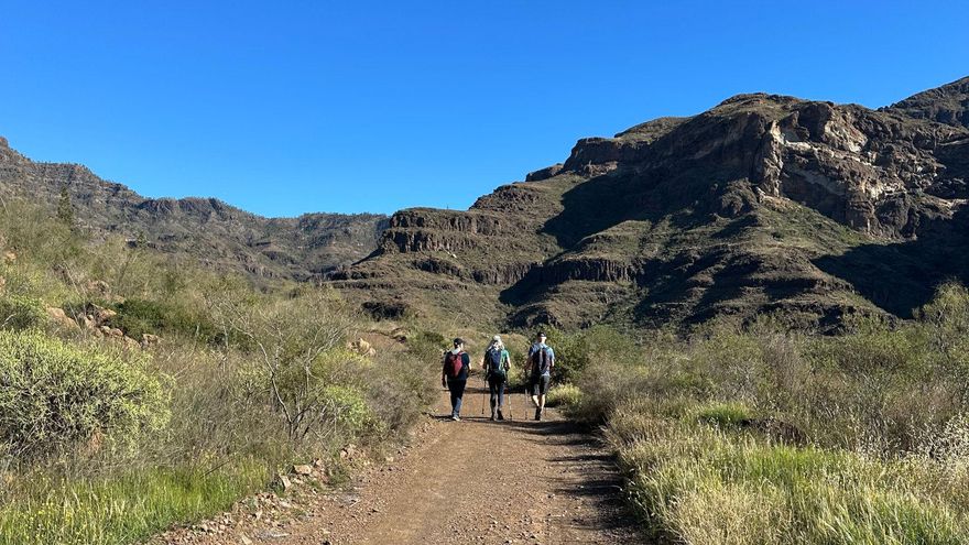 Camino de Las Tederas. A la derecha pueden verse los depósitos de Ignimbritas Fonolíticas Soldadas  de Cumbre de Trujillo.