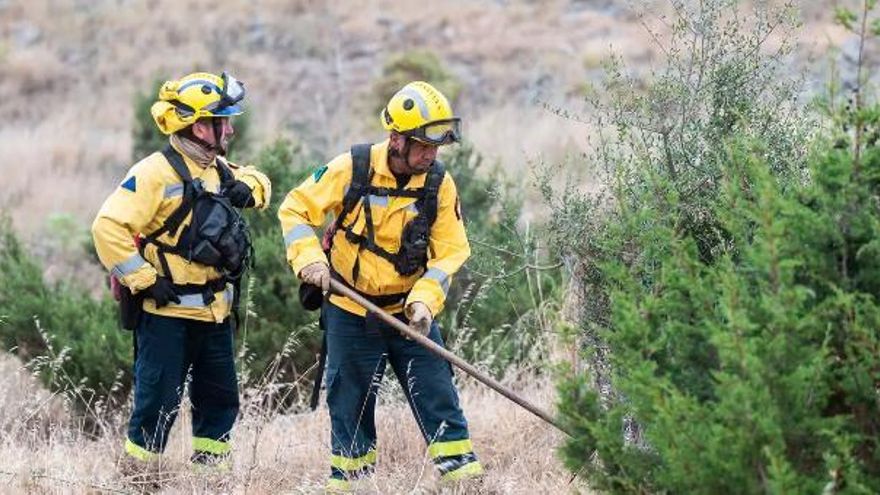 El Gobierno de Canarias finaliza la alerta por riesgo de incendios forestales