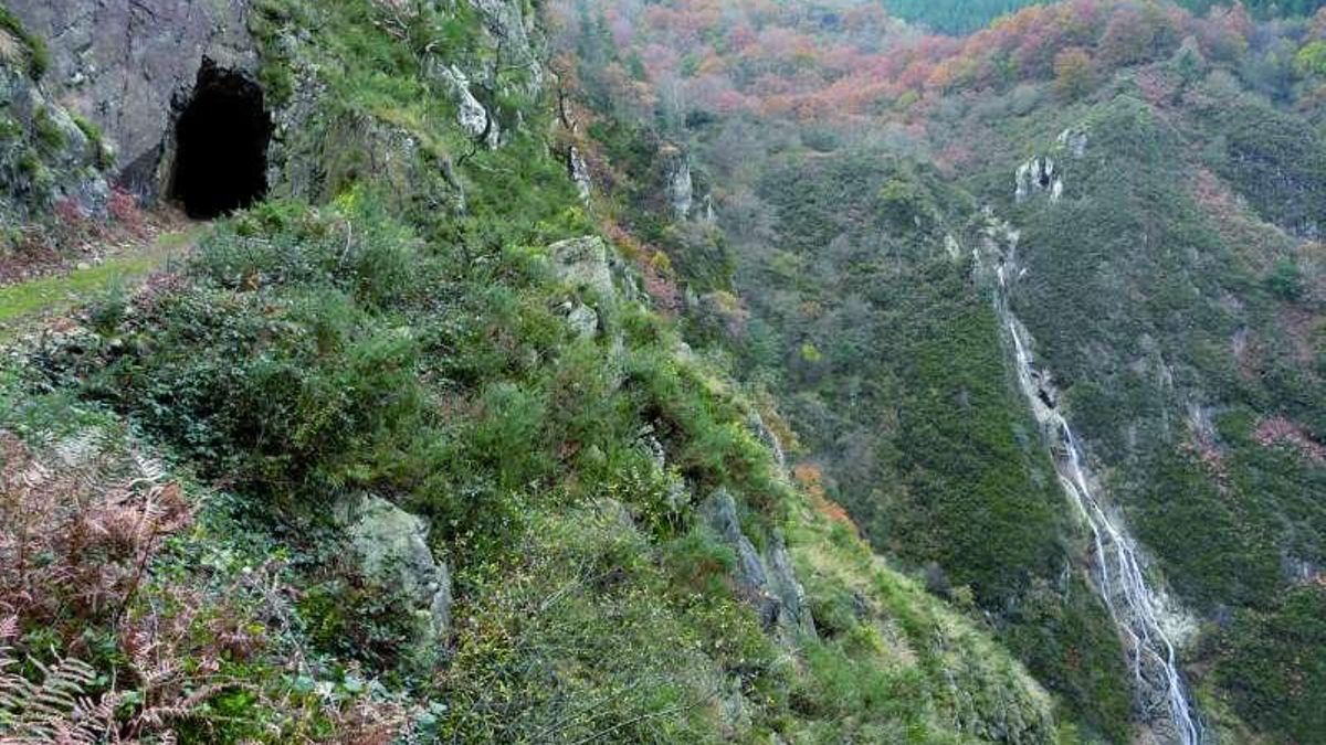 La ruta circular por un bosque único que parte desde Irún hasta la cascada más alta de Gipuzkoa