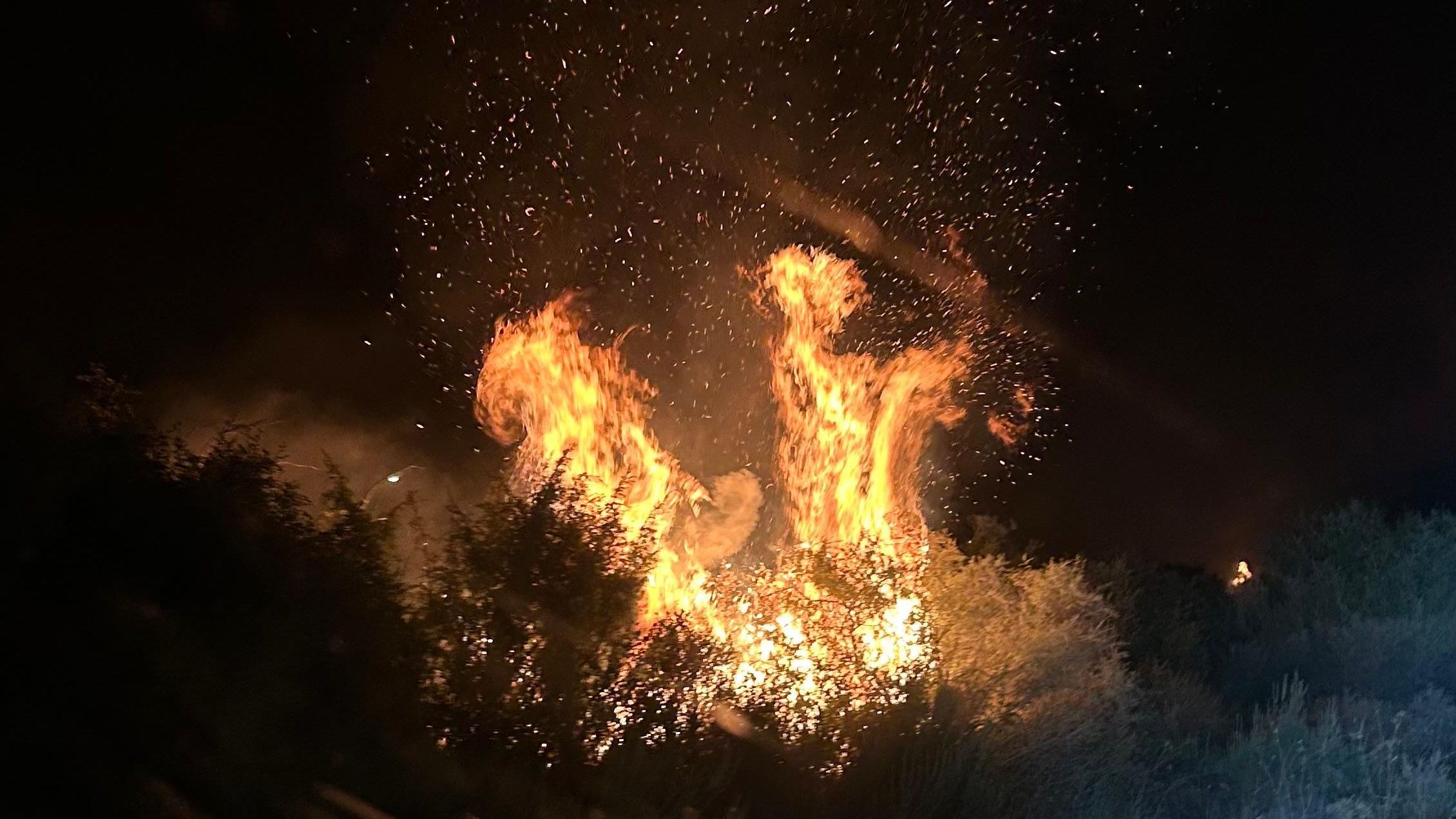Llamas durante la noche en las Cinco Villas