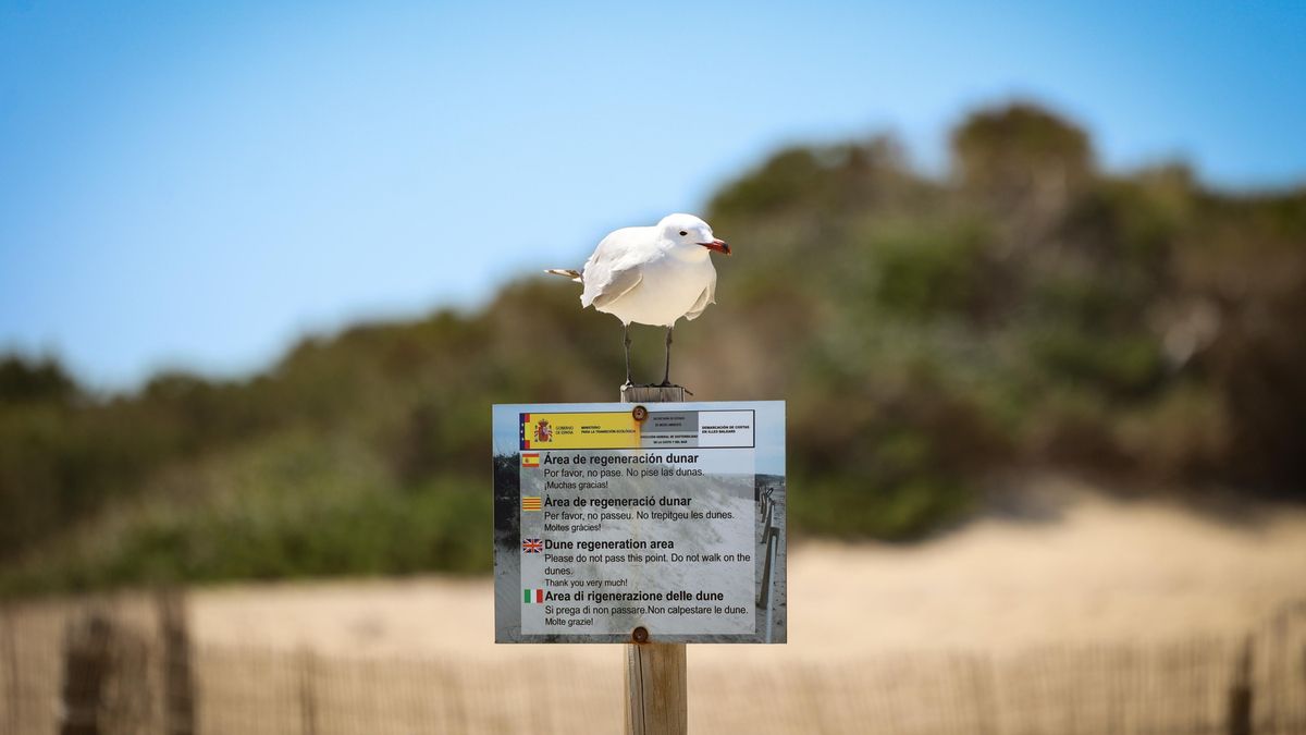 El parque natural es una zona de descanso y nidificación para las aves.